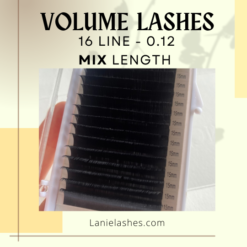 Volume lashes